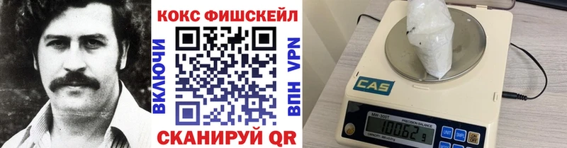 Cocaine 97%  дарк нет клад  Заводоуковск  купить наркотик 