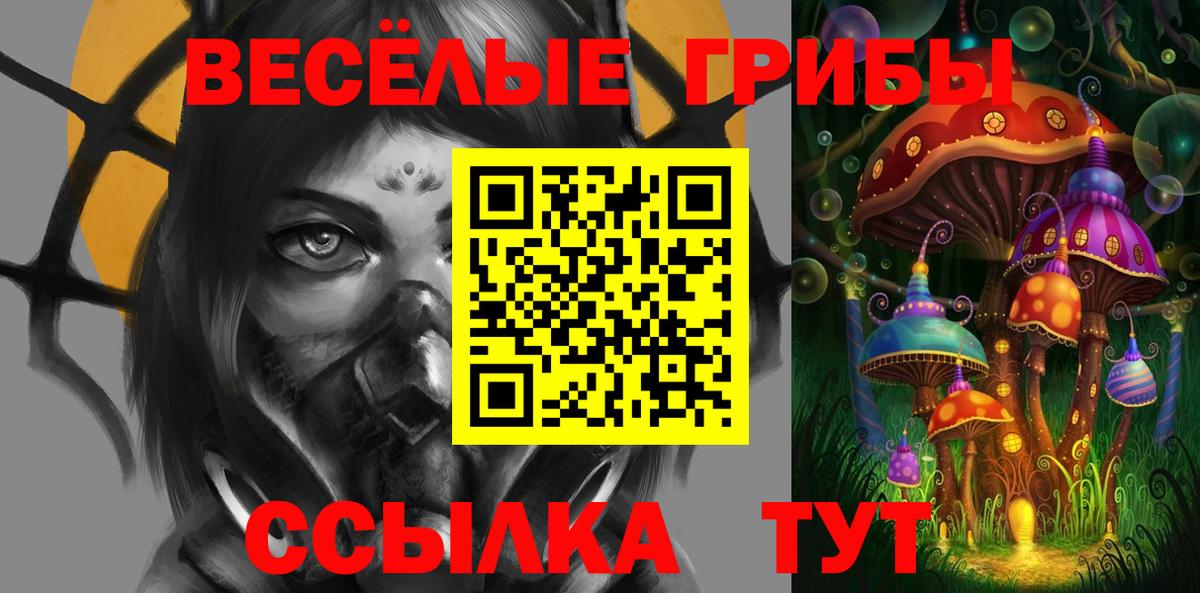 Галлюциногенные грибы GOLDEN TEACHER  Заводоуковск 