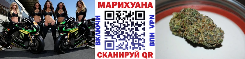 как найти наркотики  Заводоуковск  Марихуана конопля 
